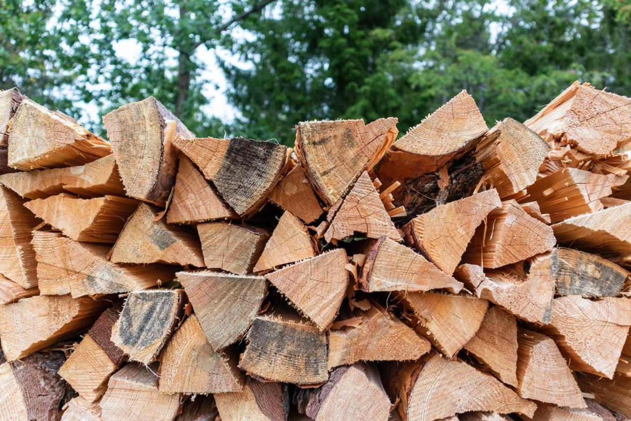 Finger Lakes Treehouse Sodus Ngoại thất bức ảnh